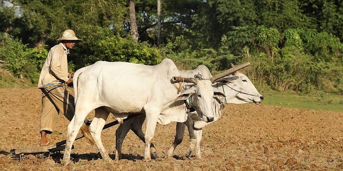 Siem Reap Easy Trekking Tour 4 Days